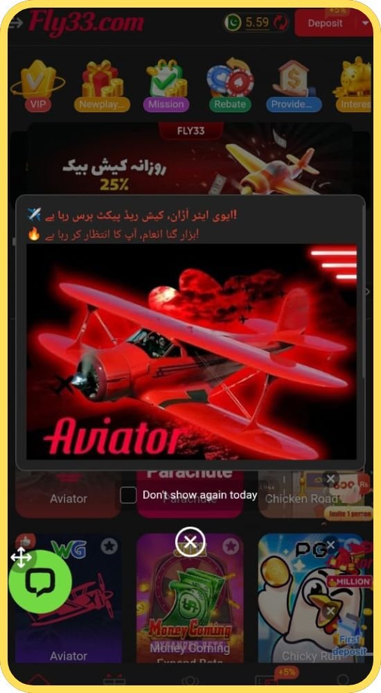 Fly33 Game